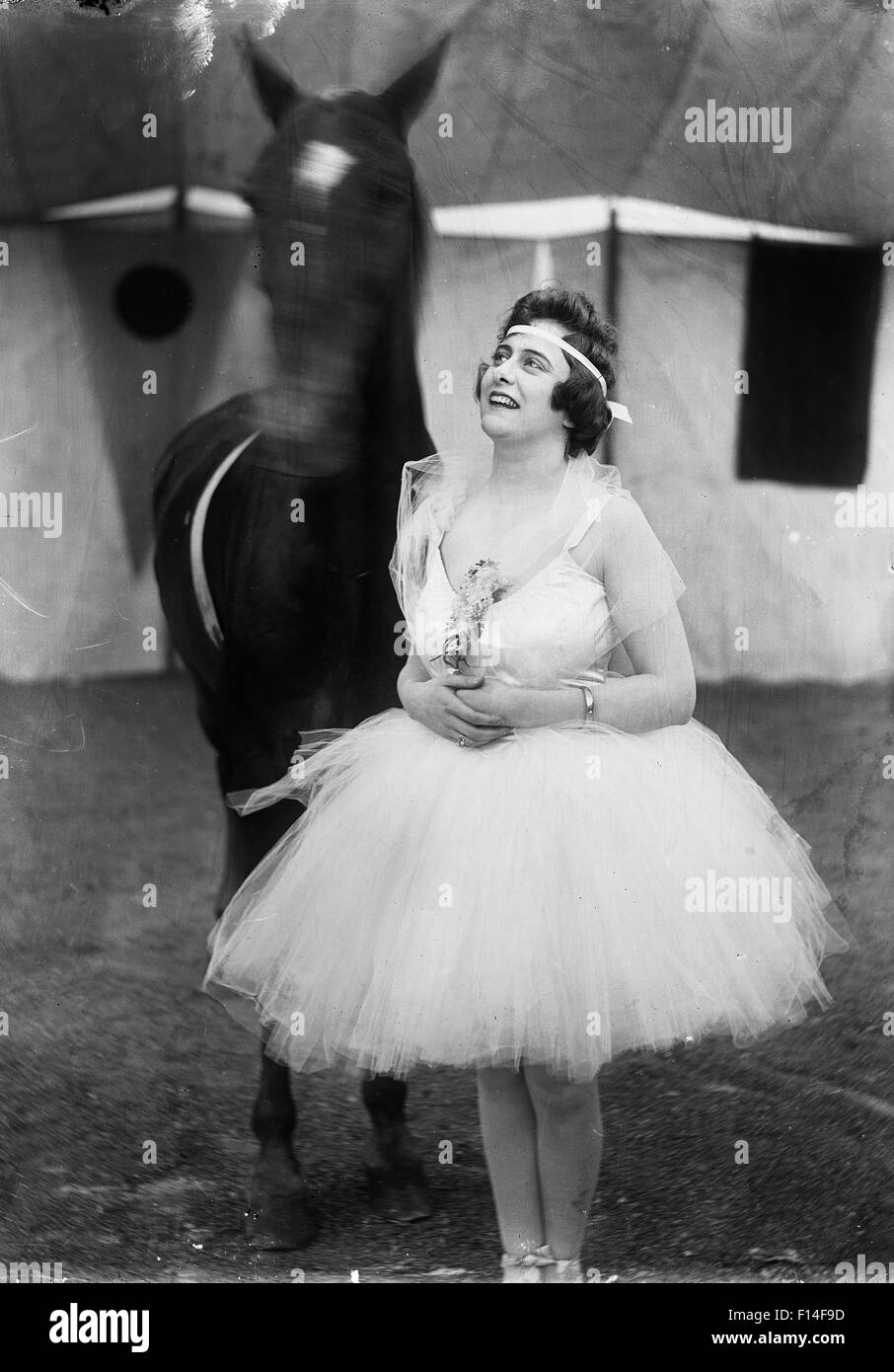 1920s WOMAN DRESSED AS BALLERINA STANDING NEXT TO CIRCUS HORSE IN A Stock  Photo - Alamy