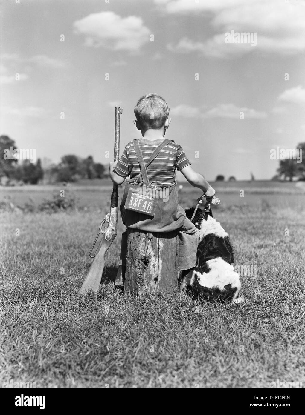 1940s BACK VIEW OF BOY WEARING HUNTING PERMIT HOLDING BB GUN SITTING ON TREE STUMP NEXT TO SPRINGER SPANIEL DOG Stock Photo