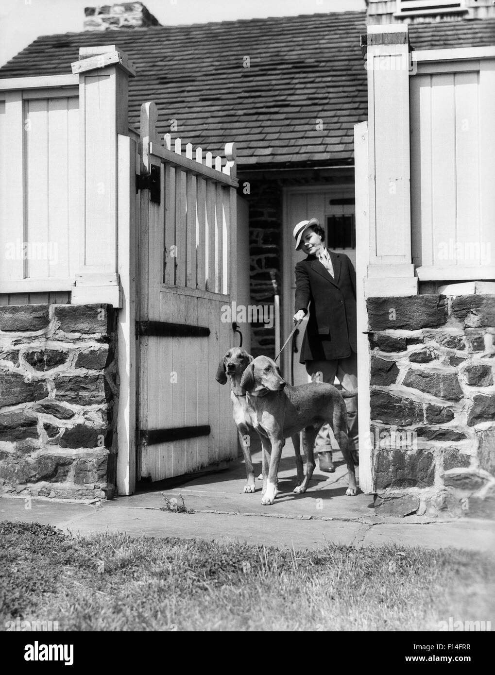 1930s UPSCALE SPORTY WOMAN WITH TWO FOX HOUND DOGS ON A LEASH BY KENNEL GATE Stock Photo
