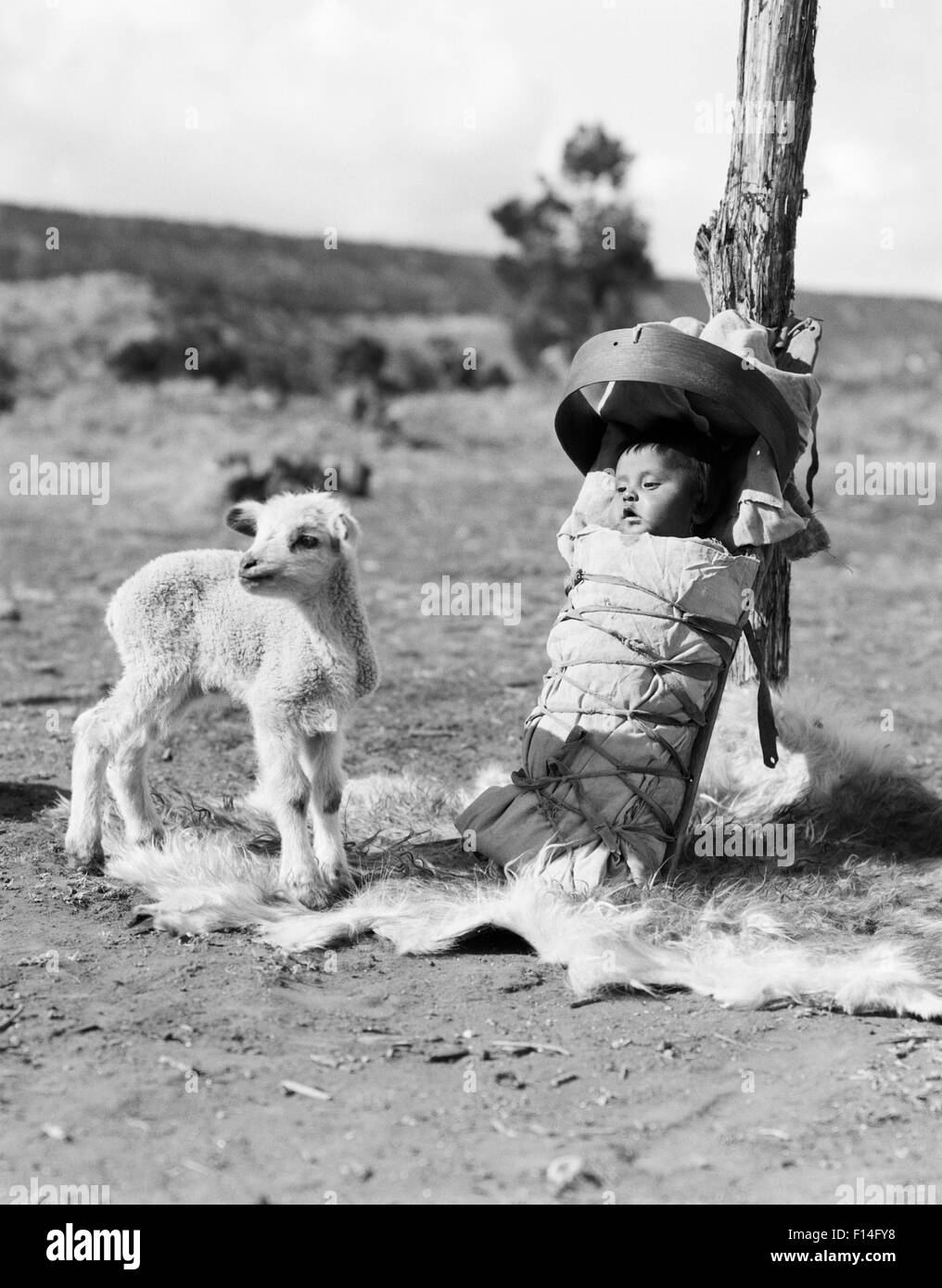 1930s NATIVE AMERICAN NAVAJO BABY PAPOOSE ON SQUAW CRADLE BOARD AND LAMB Stock Photo
