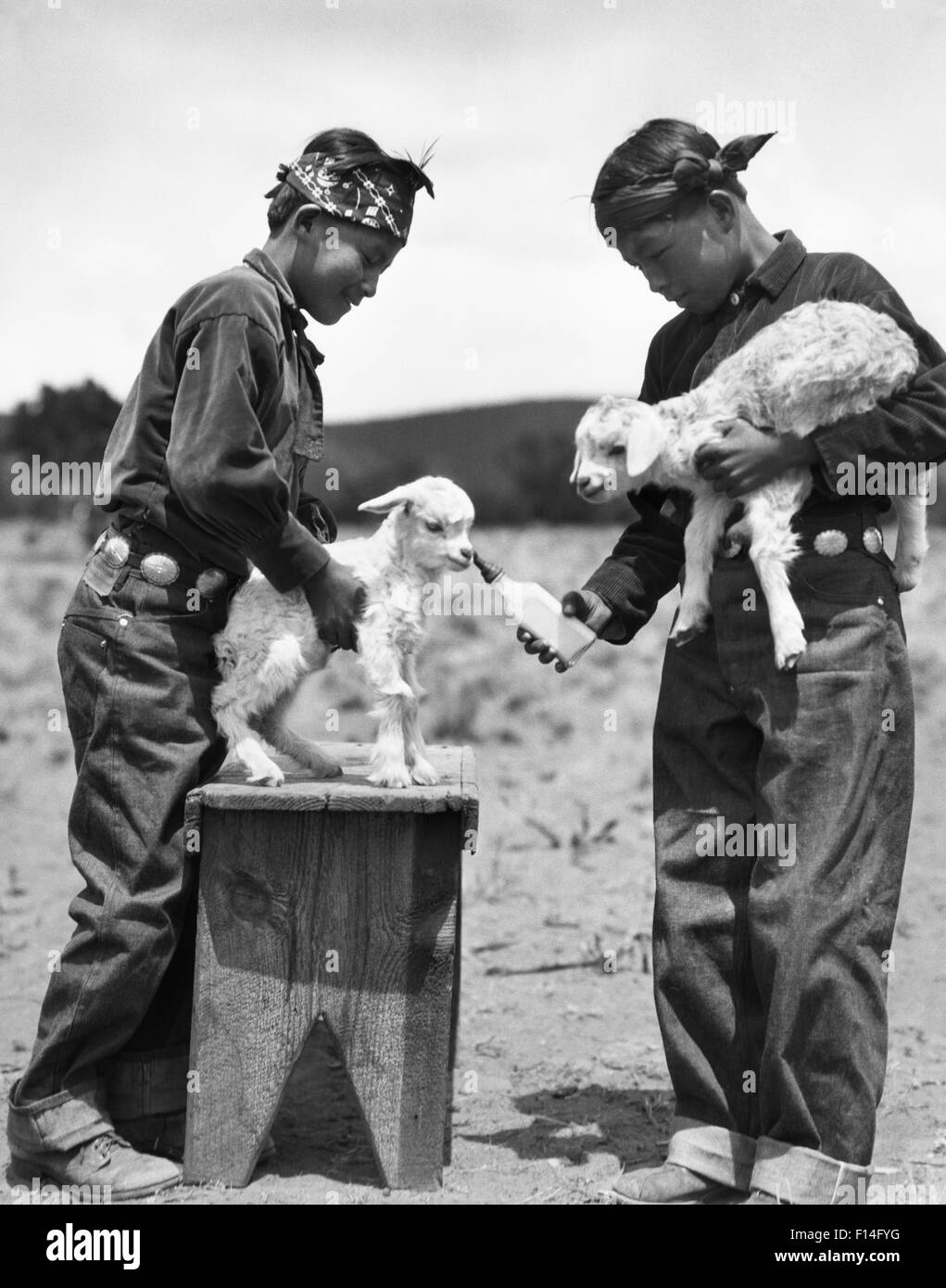 1920s TWO NATIVE AMERICAN INDIAN NAVAJO BOYS FEEDING LAMBS WITH MILK BOTTLE NEW MEXICO USA Stock Photo