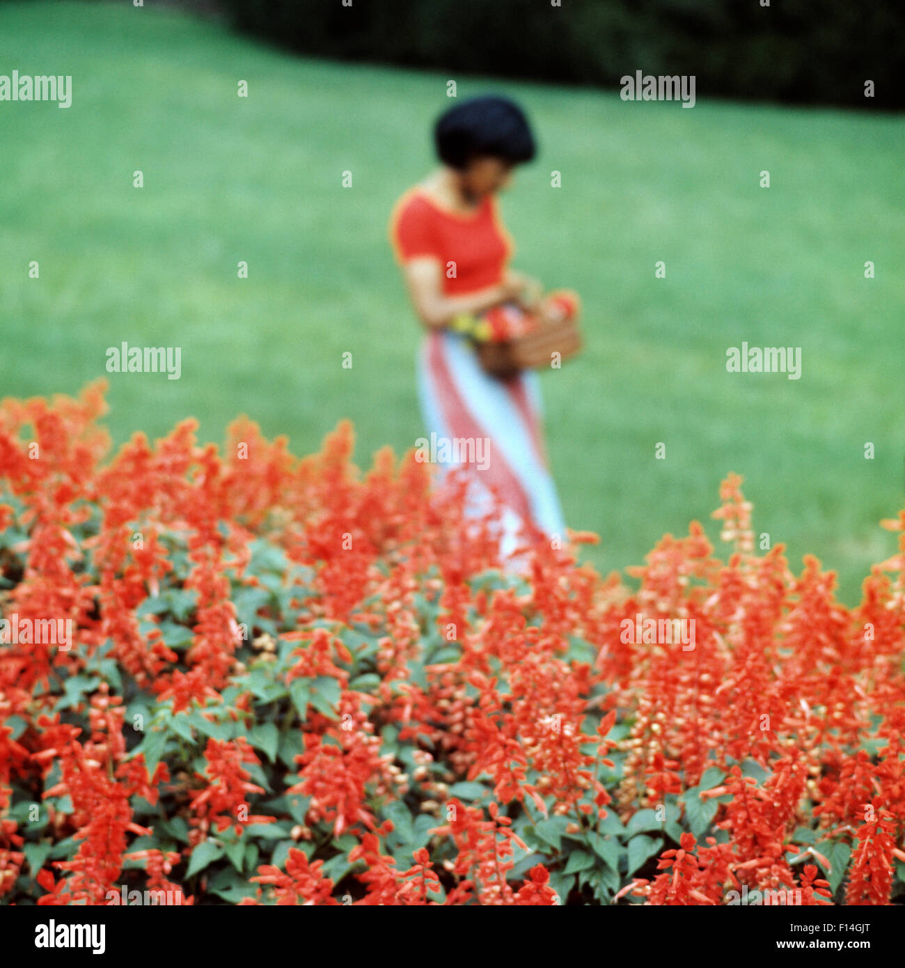 1970s african american girl hi-res stock photography and images - Alamy