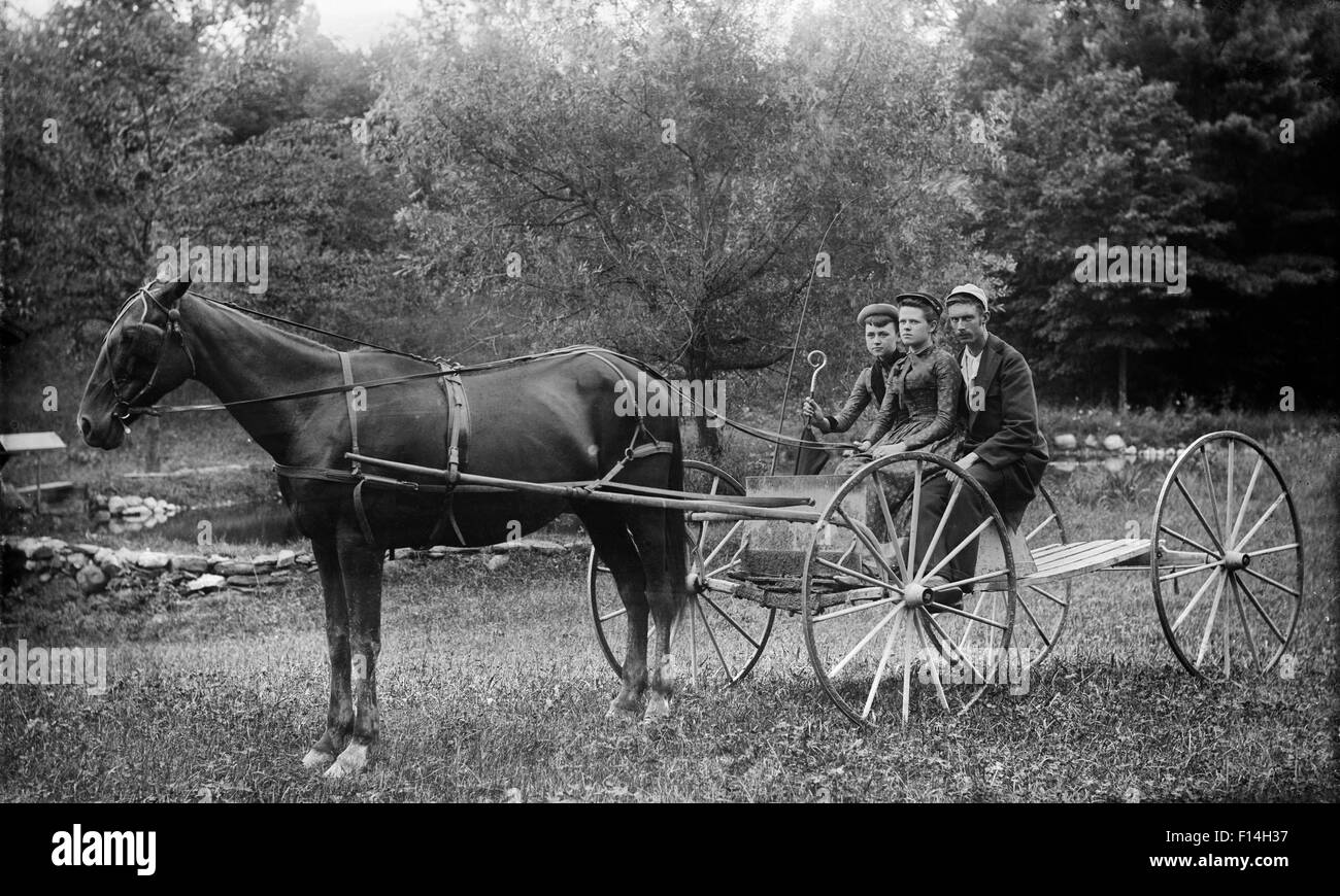 1890s Seattle HORSE DRAWN MAIL WAGON Photo 177-c 