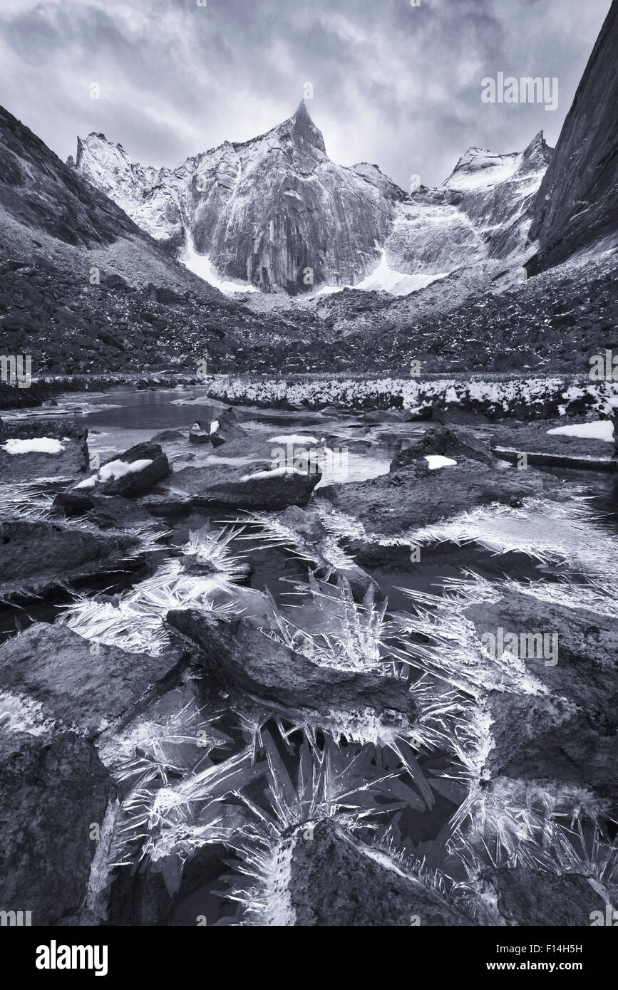 Black and white photograph of Ice crystals up to 12 inches long along a small creek in a remote valley, Brooks Range, Gates of the Arctic National Park, Alaska, August 2014. Stock Photo