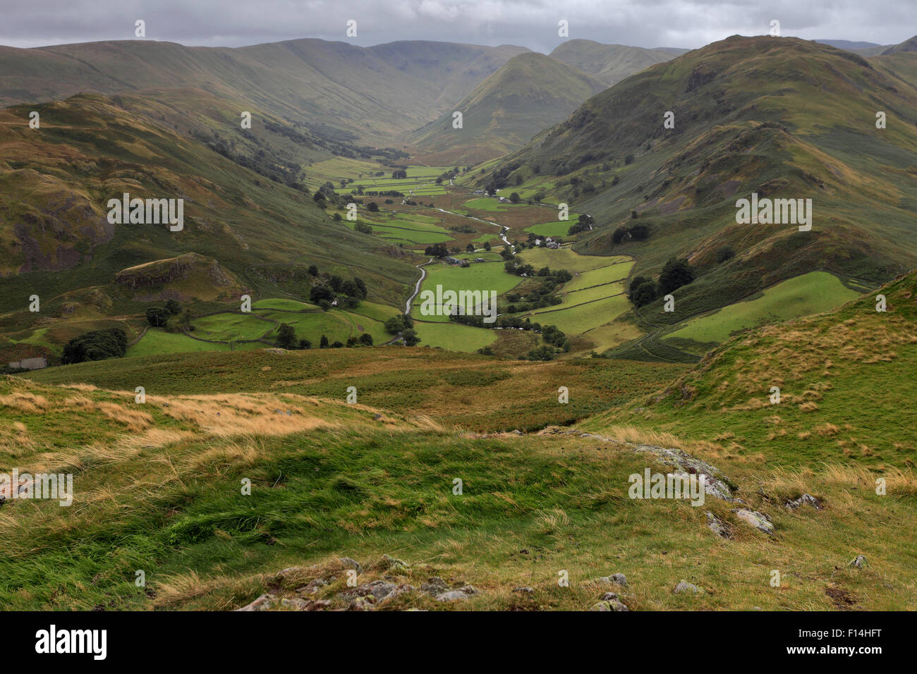 Summer, Martindale Common valley, Lake District National Park, Cumbria County, England, UK Stock