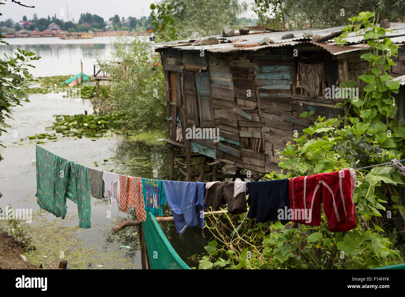 India, Jammu & Kashmir, Srinagar, Nishat Lake, laundry hung out to dry beside ramshackle houseboat Stock Photo