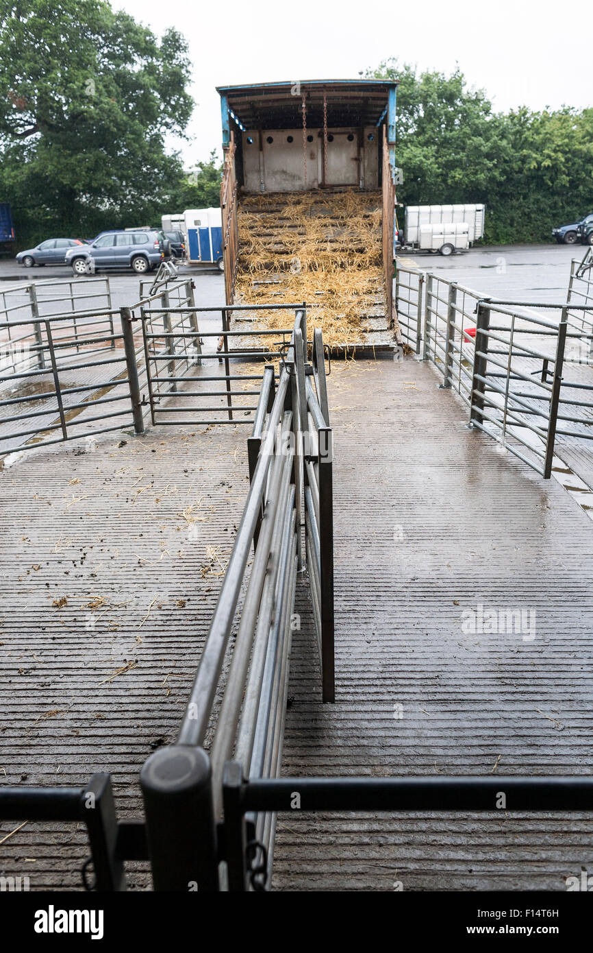 Exeter Livestock Centre is the largest and most modern market in Devon