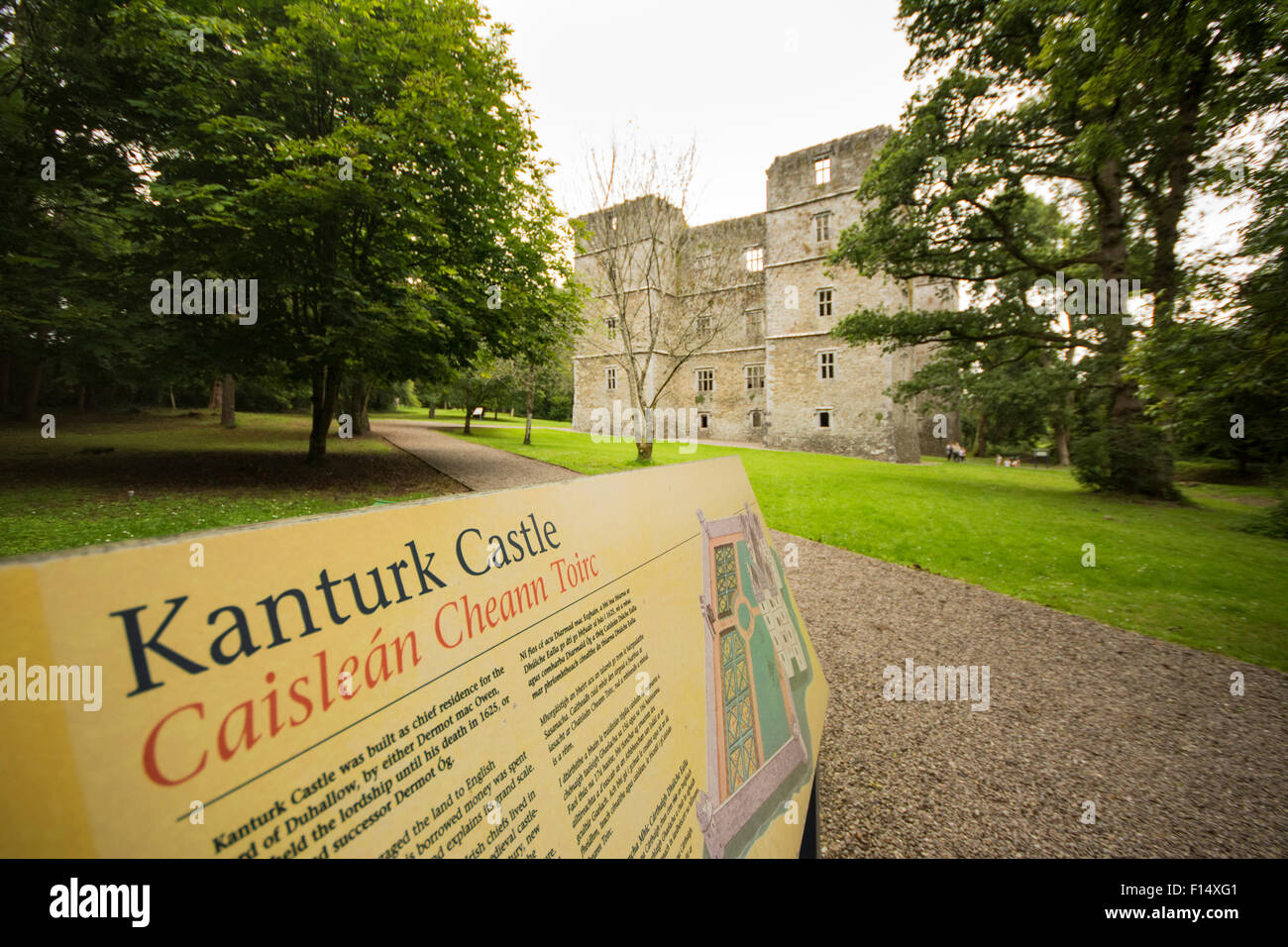 Kanturk Castle in County Cork, Ireland with Wind in the Trees Stock