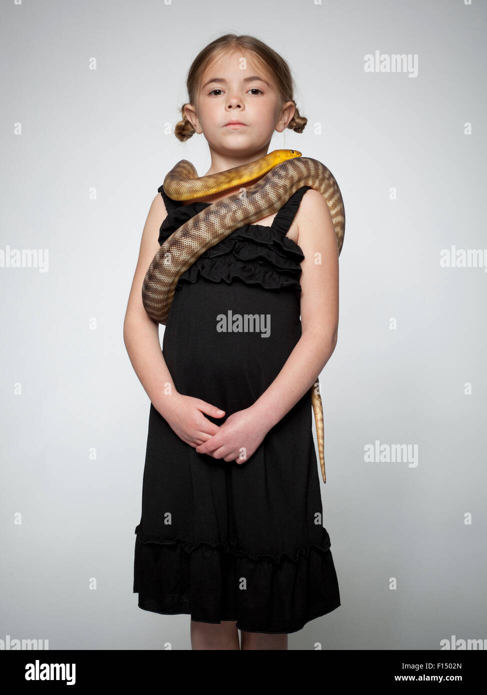 Snake wrapped around hi-res stock photography and images - Alamy