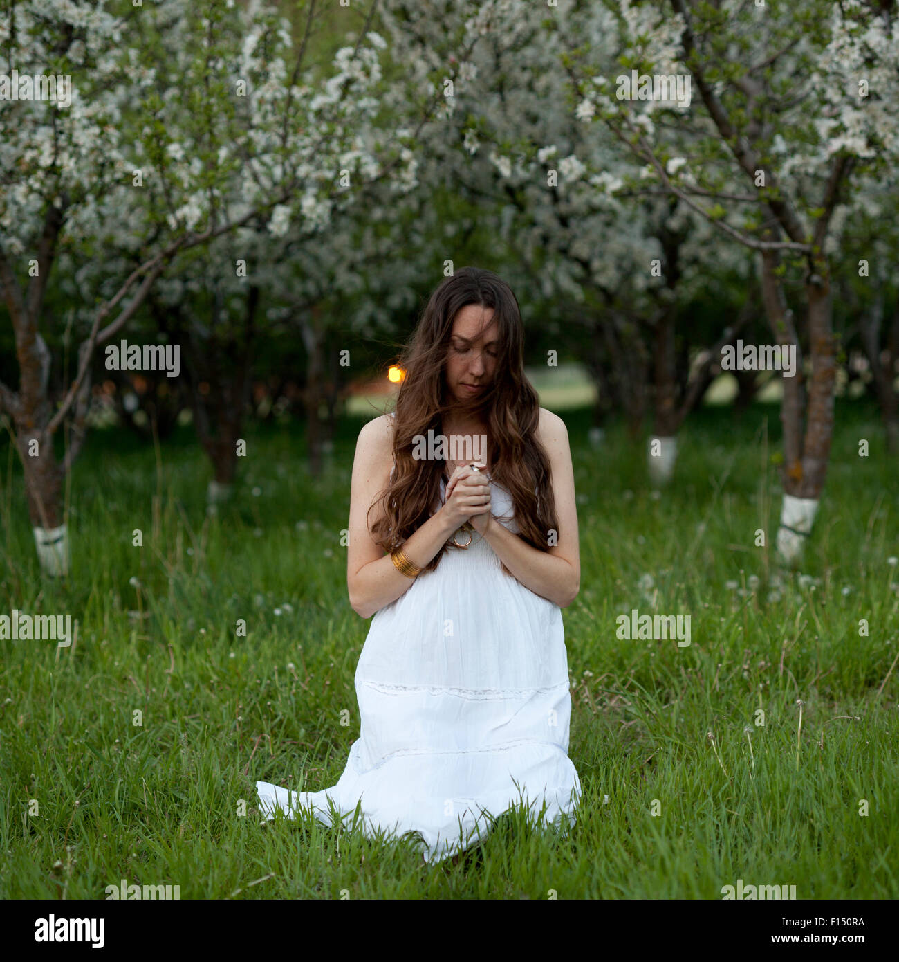 USA, Utah, Provo, Young woman wearing white dress kneeling between trees in blossom Stock Photo