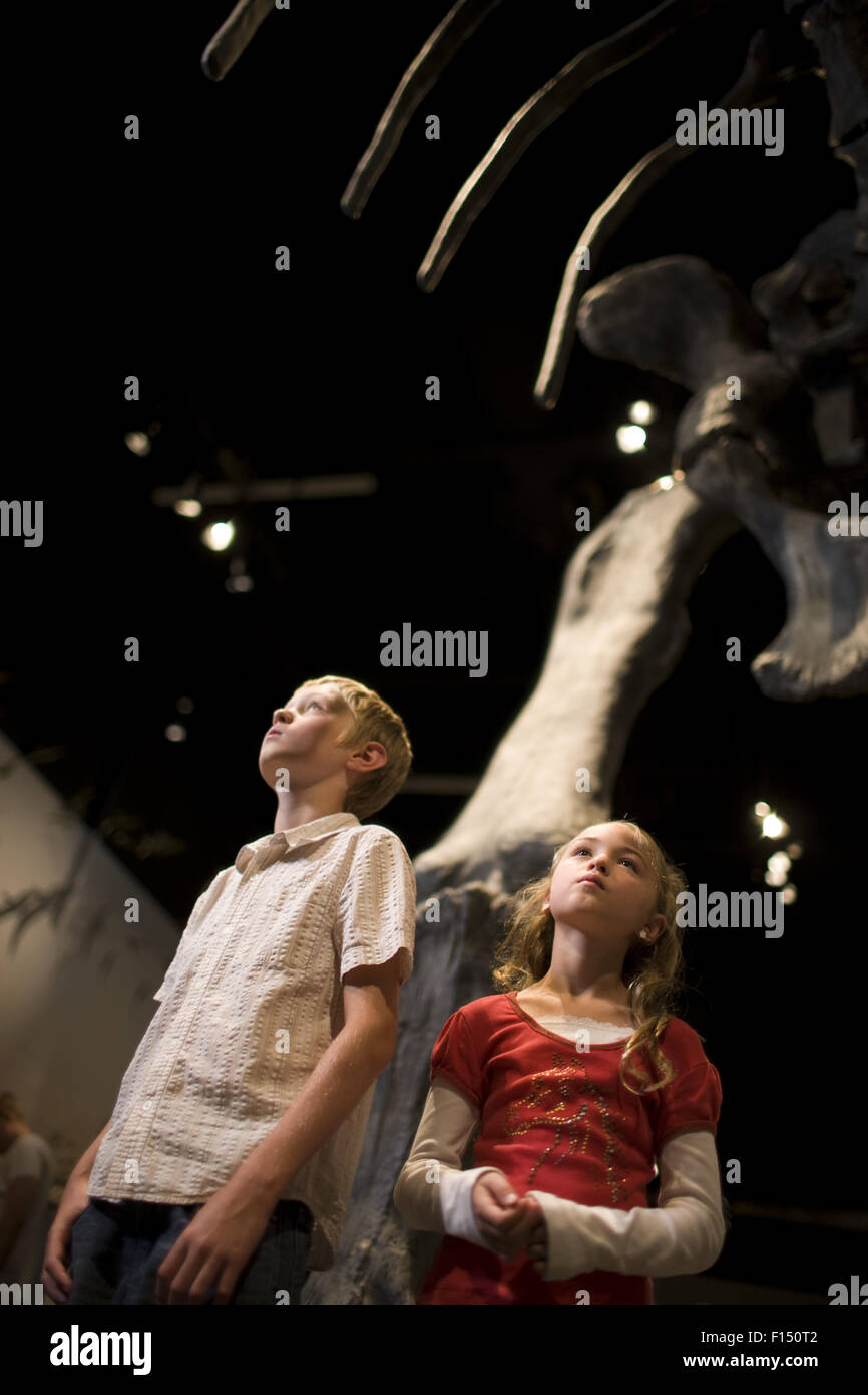 USA, Utah, Lehi, children (8-11) in museum of dinosaurs Stock Photo
