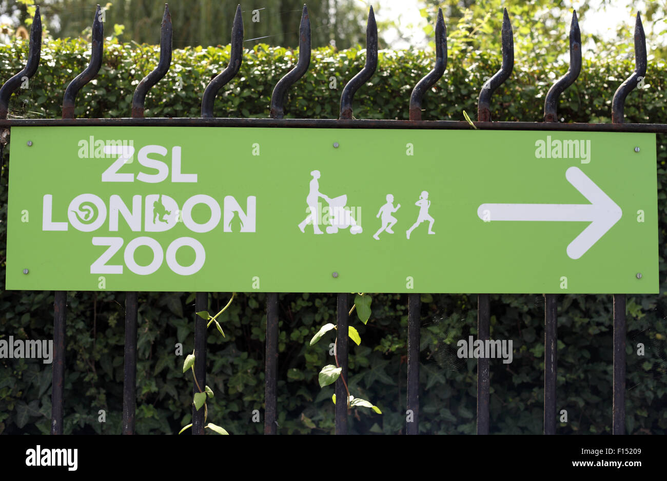 Signs directing pedestrians to London Zoo, Regent's Park, London Stock Photo