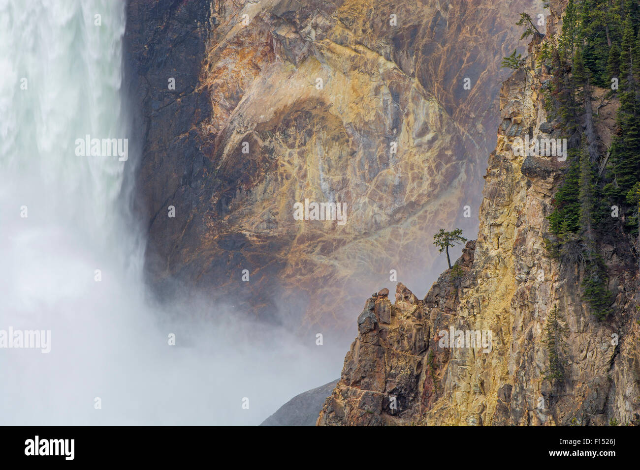 Lower Falls at Artist Point, Yellowstone River. Yellowstone National Park, Wyoming, USA, June. Stock Photo