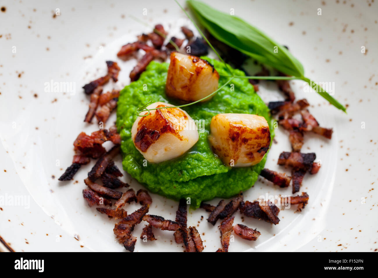 Scallops with pea puree and crispy bacon Stock Photo Alamy