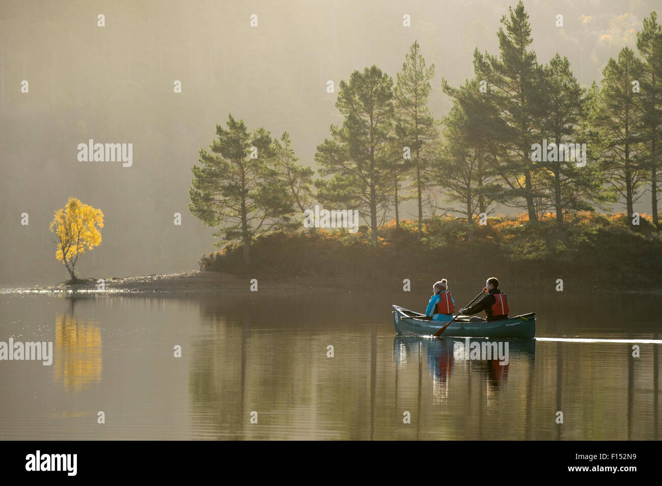 Couple canoeing on Loch Beinn a' Mheadhoin with Birch (Betula pendula) and Scots pines (Pinus sylvestris) on shore, Glen Affric, Highlands, Scotland, November 2014. Stock Photo