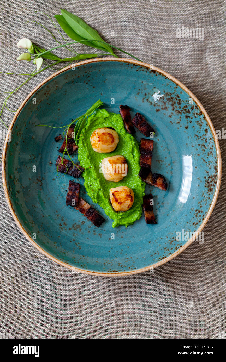 Scallops with pea puree and crispy bacon Stock Photo Alamy