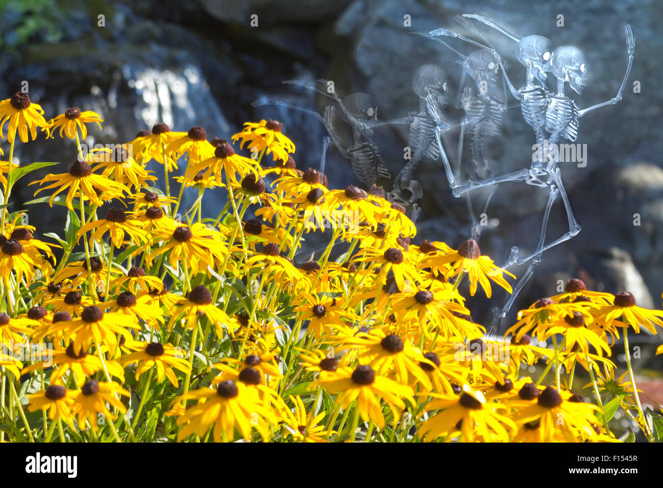 Scary dancing fairy skeleton spirits on flower background Stock Photo ...