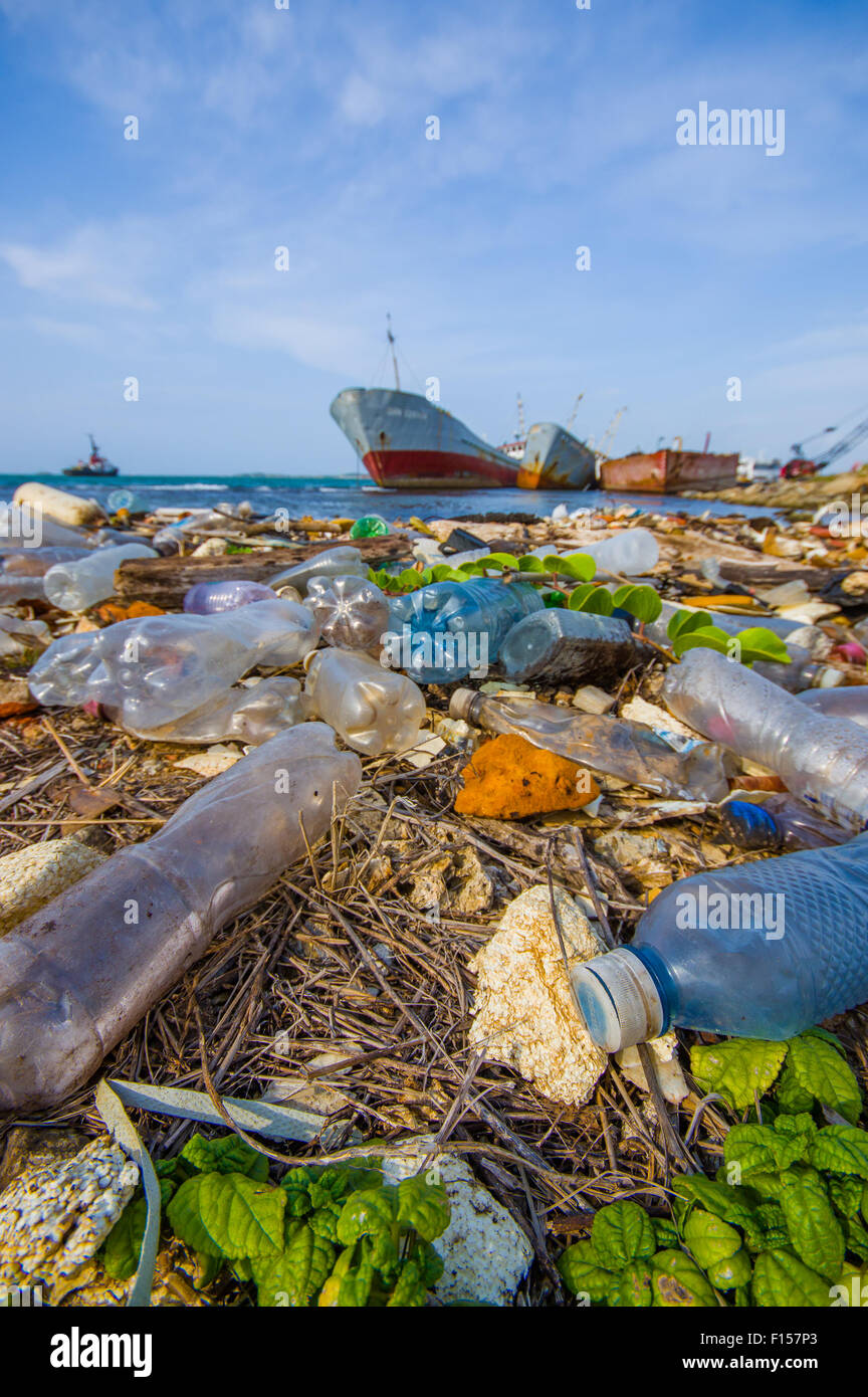 COLON, PANAMA APRIL 15, 2015 Waste and pollution washing on the