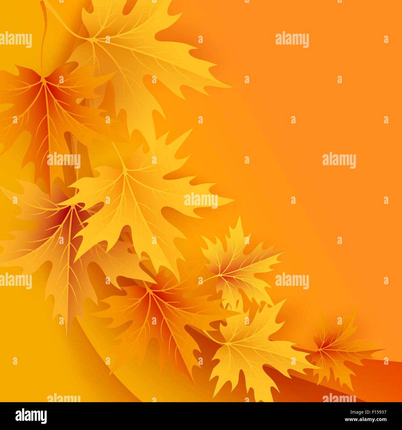 Autumn maples falling leaves background Stock Vector Image & Art - Alamy