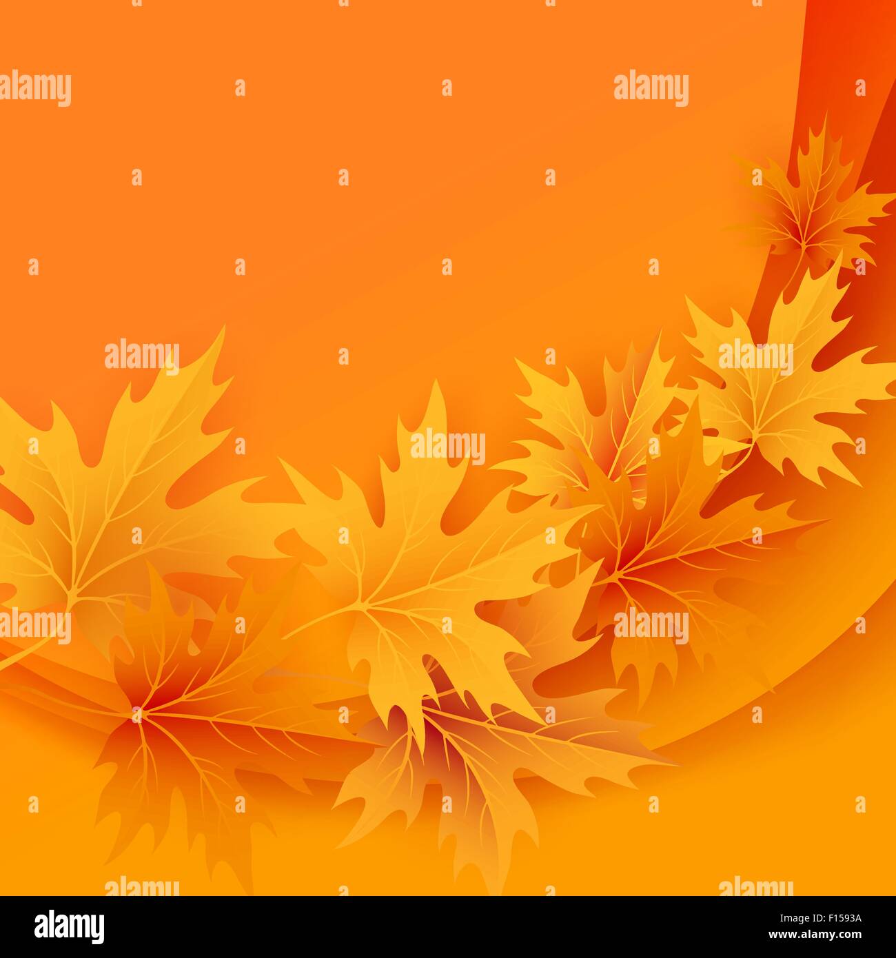 Autumn maples falling leaves background Stock Vector Image & Art - Alamy