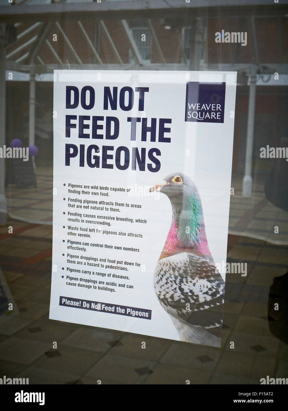 Do not feed the pigeons on Weaver Square in Northwich Cheshire UK Stock Photo