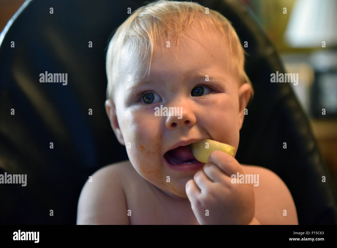 A portrait of an 11 month old baby sitting in a high chair eating a slice of apple. Stock Photo