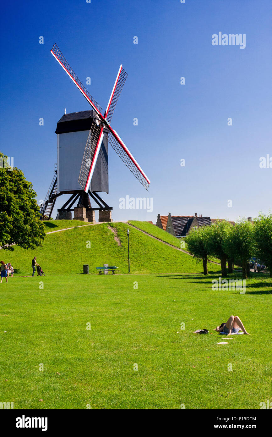 Wind mill and green lawn at Brugge - Belgium Stock Photo