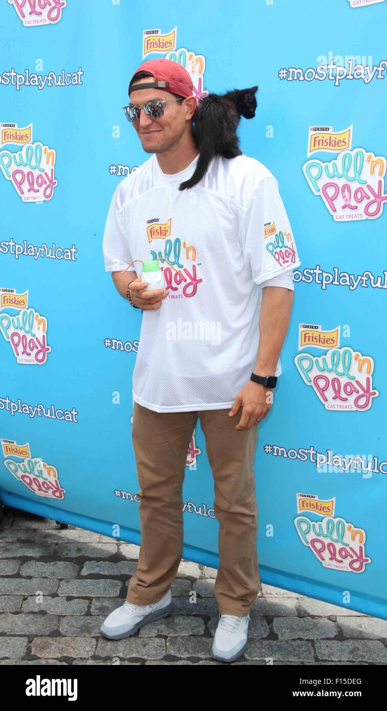 friskies string treats