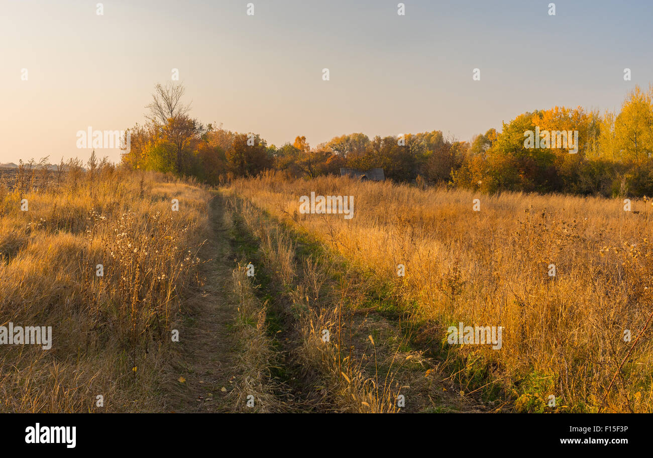 Earth road to abandoned hamlet in Sumskaya oblast, Ukraine Stock Photo