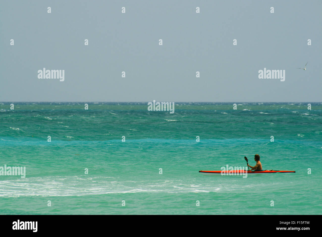 Man kayaking in the Atlantic Ocean, Miami Beach, MiamiDade County, Florida, USA Stock Photo Alamy