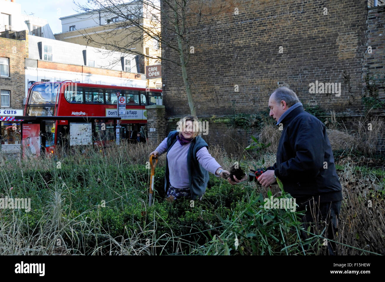 Volunteer gardeners working in a church garden next to the A1, Holloway Road with bus behind, London Borough of Islington. Stock Photo