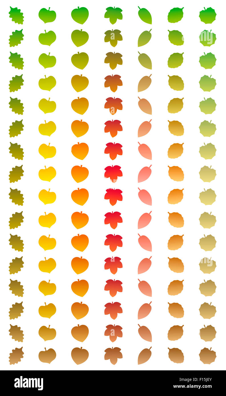 Leaves changing colors in a year from green to autumn colors and to withered brown while falling off. Stock Photo
