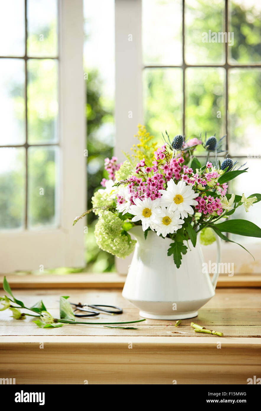 Bouquet of Fresh Cut Flowers containing Daisy, Flox, Sea Holly, Hydrangea, and Ragweed in White Pitcher Vase on Window Sill Stock Photo