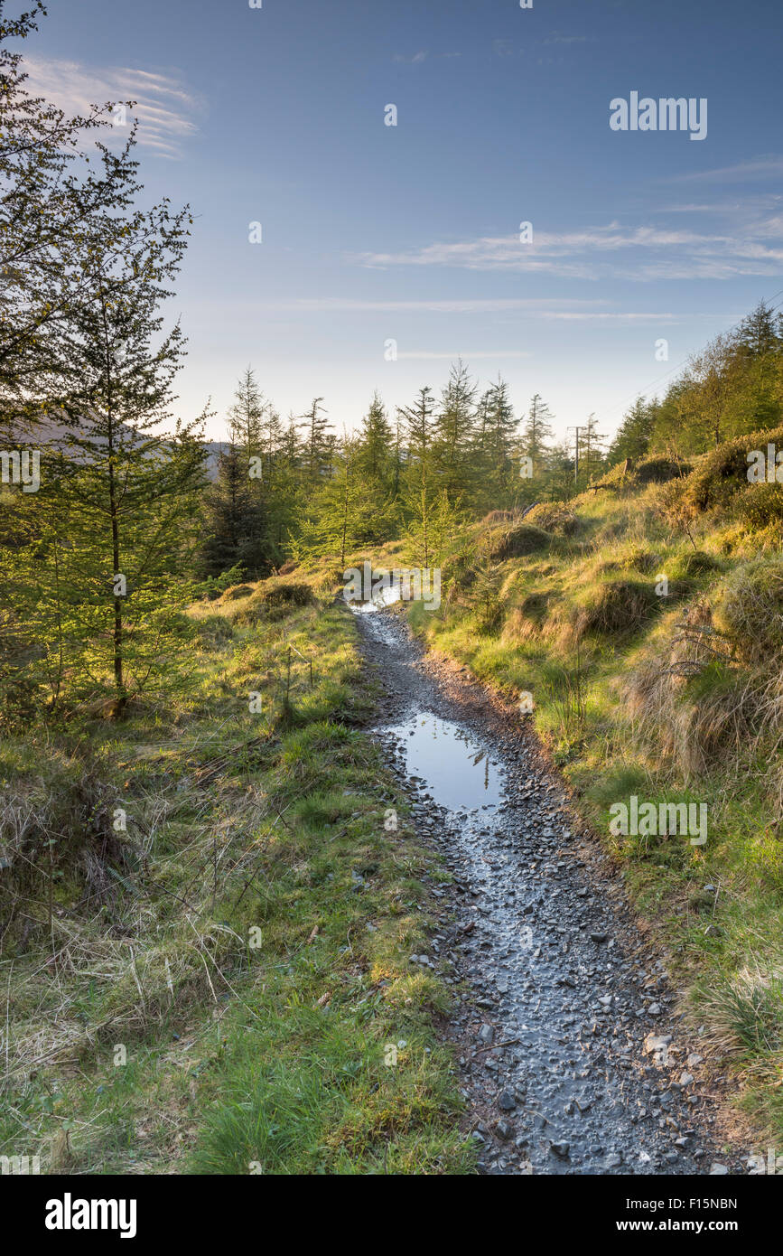 bike trails lake district