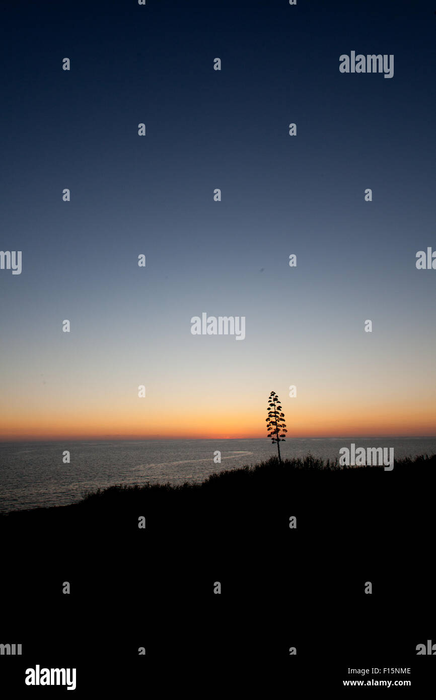 Sunset in Anzio beach. not far from Rome. Italy Stock Photo