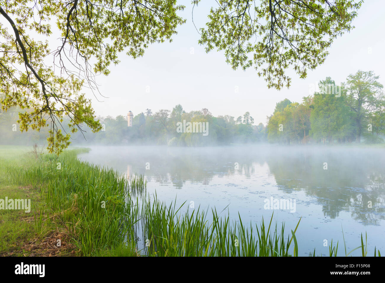 Branches of Oak Tree and Lake in Early Spring, Park Schonbusch