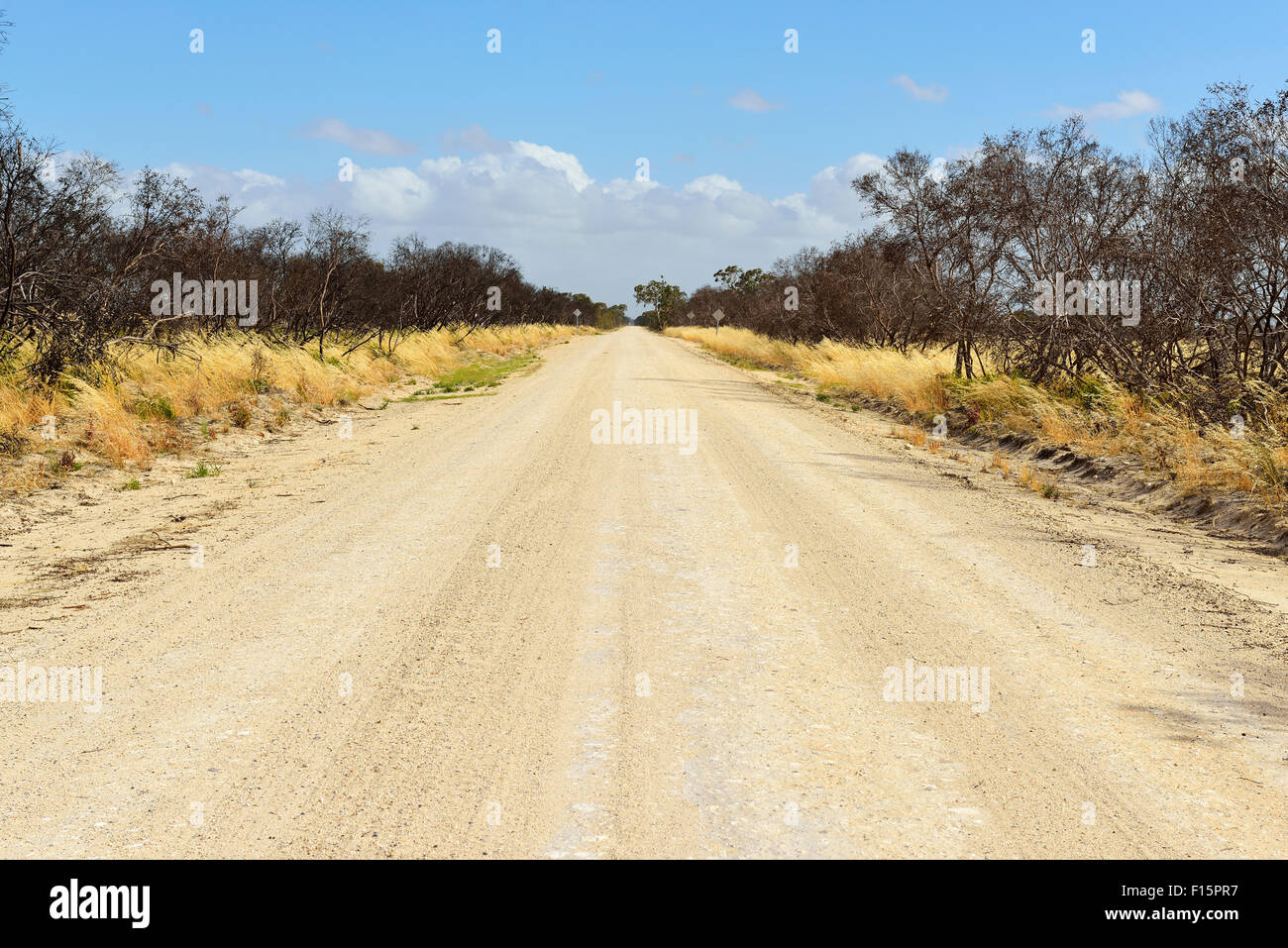 Gravel Road in Summer, Culburra, Dukes Highway, South Australia, Australia Stock Photo