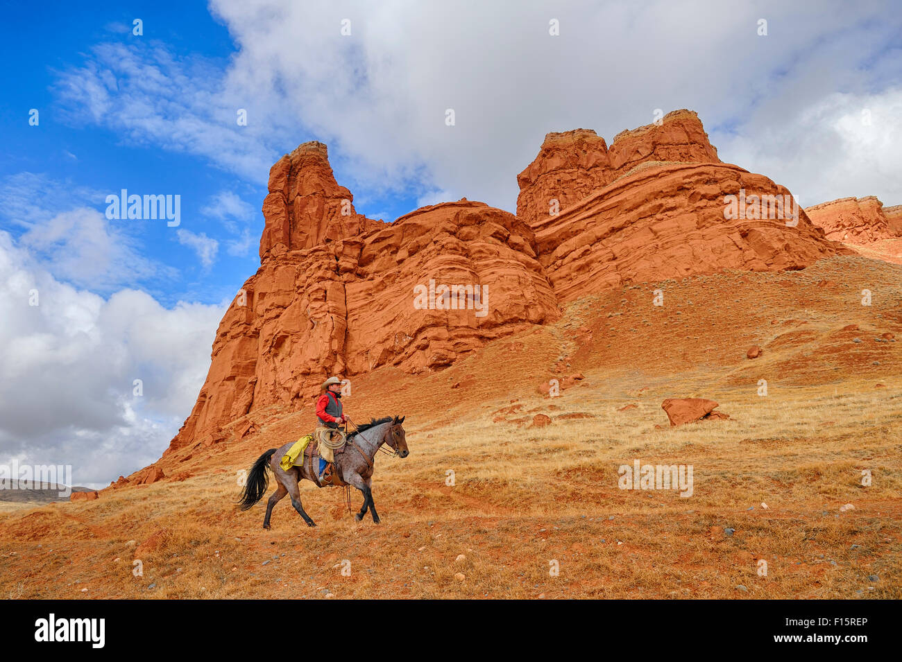 Cowboy Riding Horse, Wyoming, USA Stock