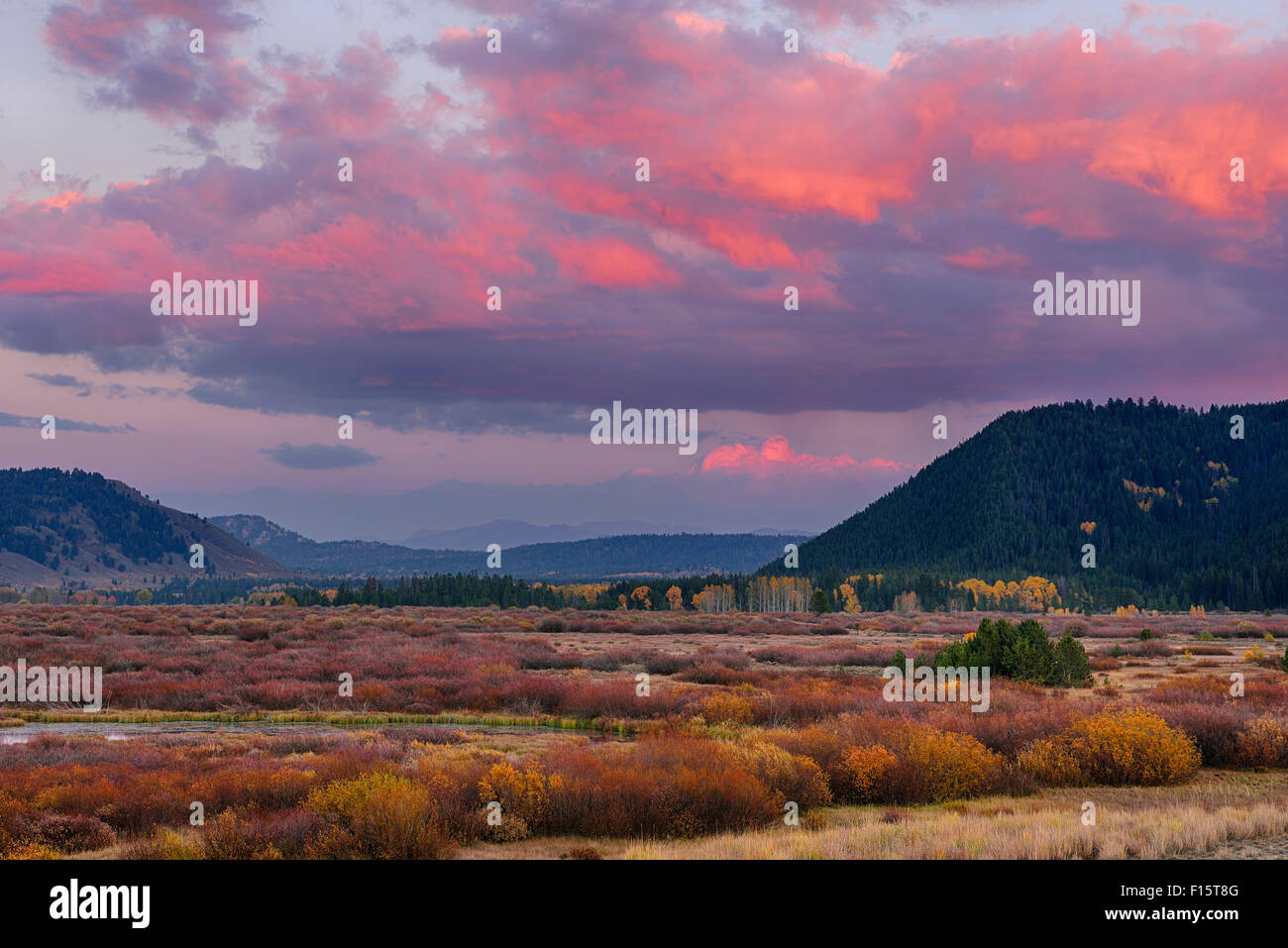 Willow Flats at Sunset, Grand Teton National Park, Wyoming, USA Stock