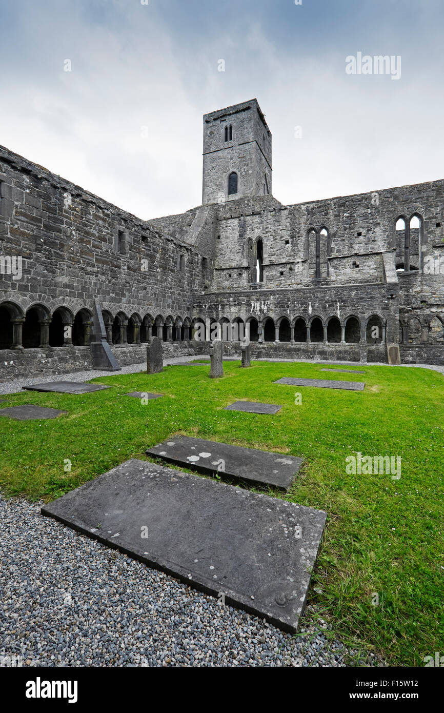 Sligo Abbey (Mainistir Shligigh), Sligo, Republic of Ireland Stock Photo