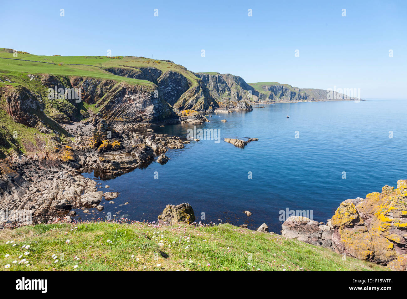 Part of the geologically-interesting landscape at St Abb's Head ...