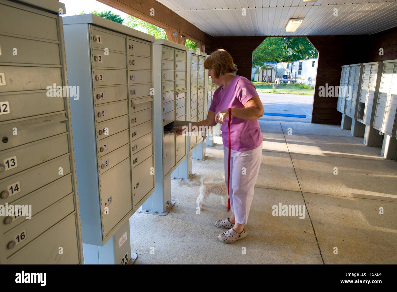 Person Getting Mail Middle aged woman getting mail from apartment mailboxes Stock Photo - Alamy