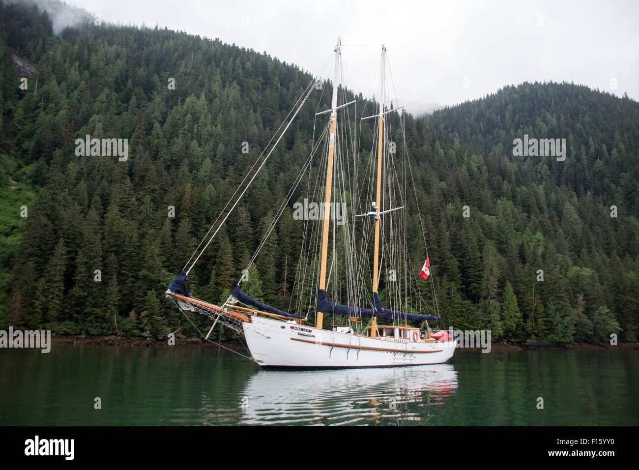 The 'Maple Leaf' - an ecotourism expedition schooner anchored in the coastal waters of the Great Bear Rainforest, northern British Columbia, Canada. Stock Photo