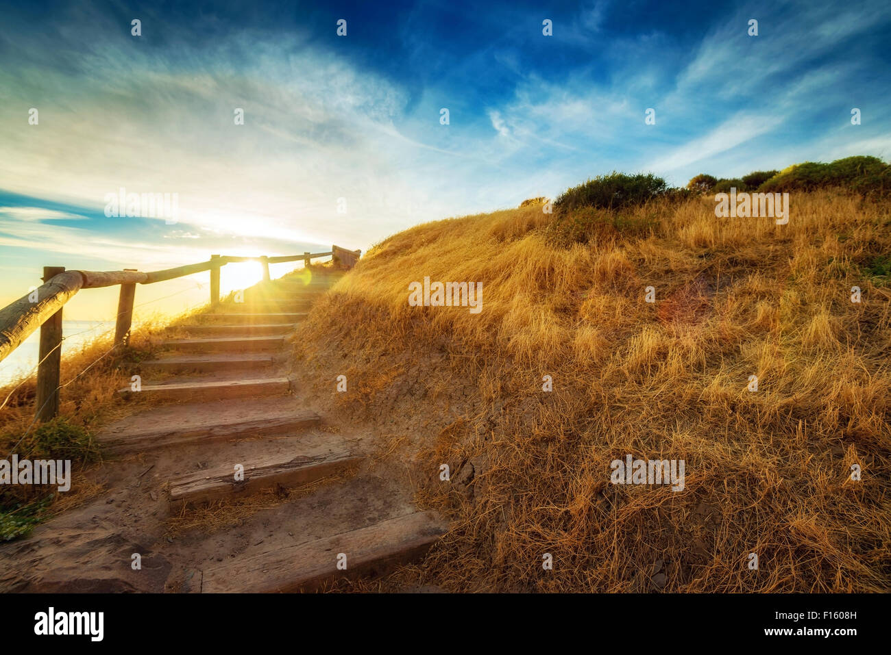 Stairs up on the hill with sunset flares Stock Photo