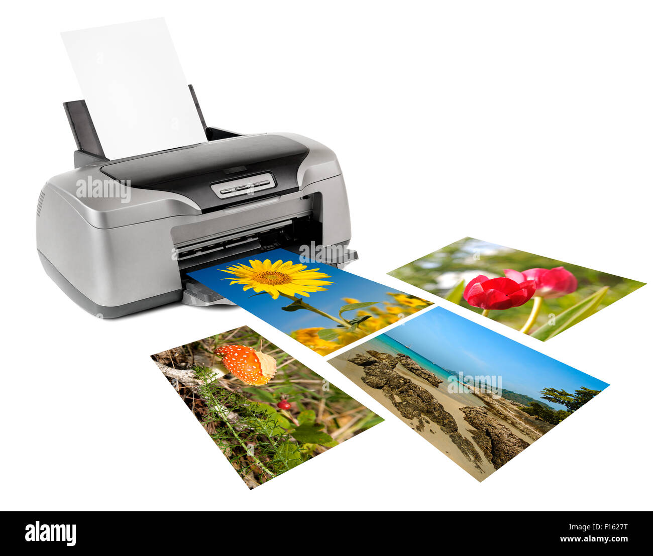 photo inkjet printer, on white background; isolated Stock Photo