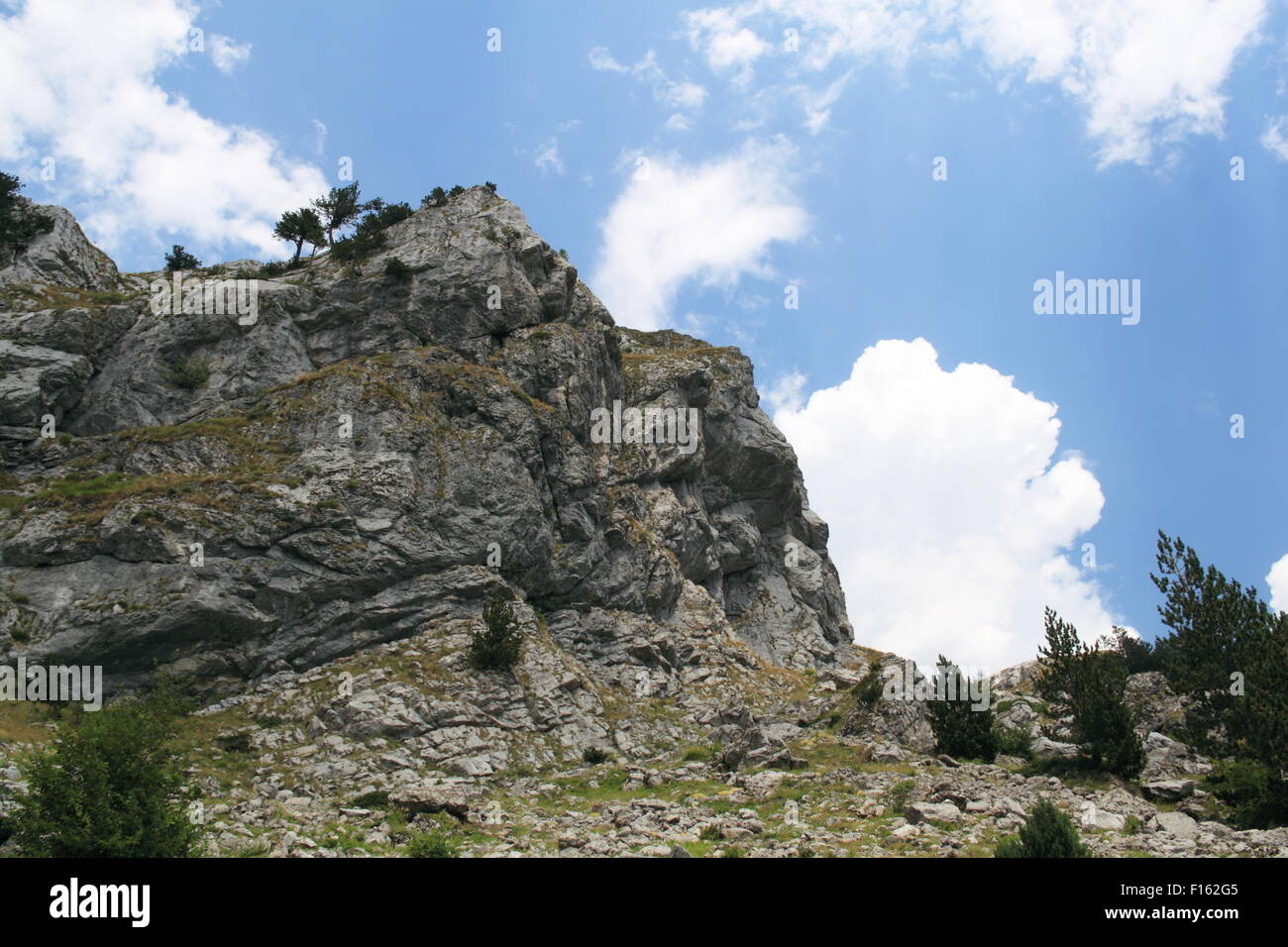 Peja hi-res stock photography and images - Page 2 - Alamy