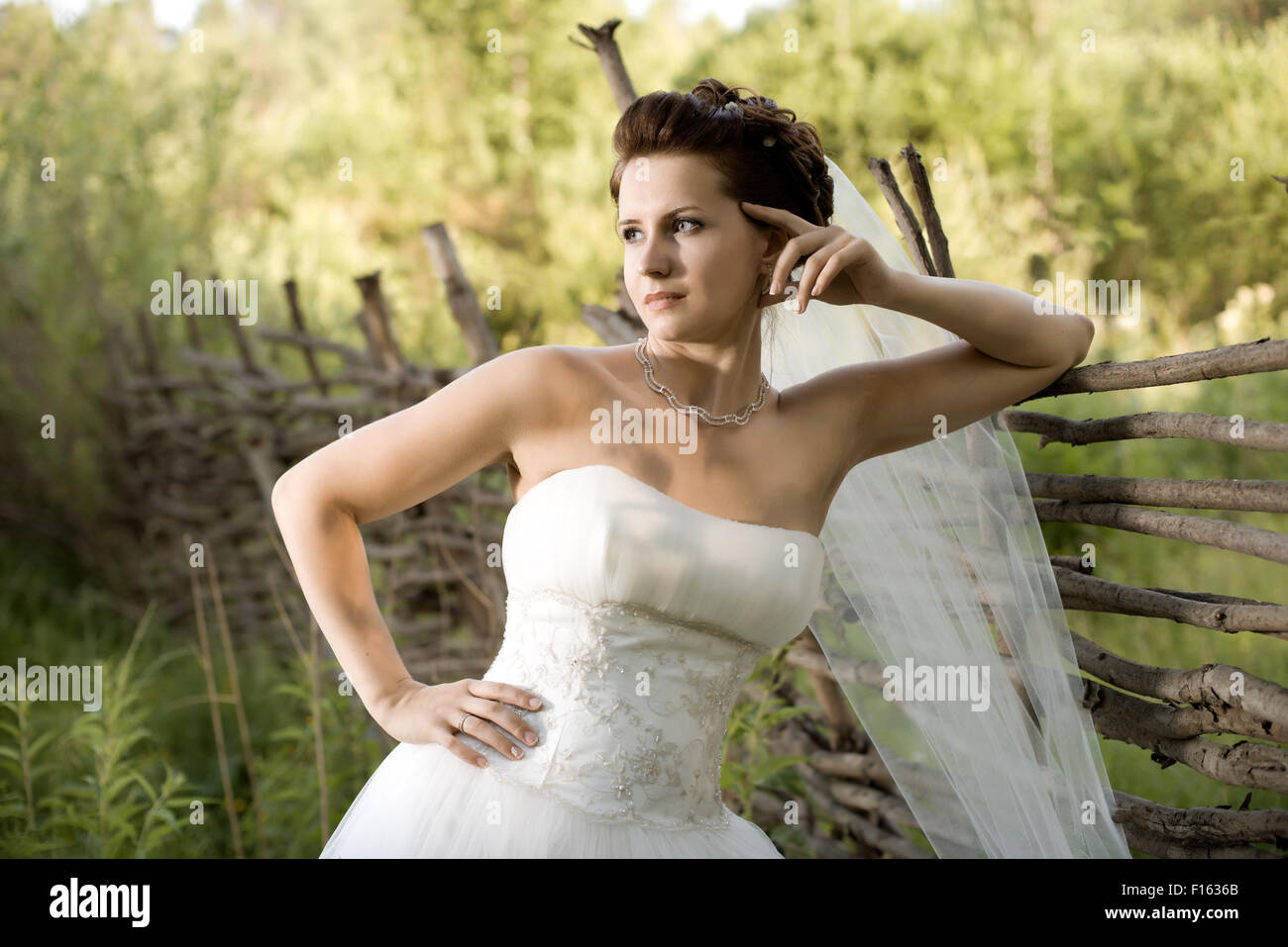 horizontal wedding portrait beautiful  fiancee in white dress with wedding veil, on nature Stock Photo