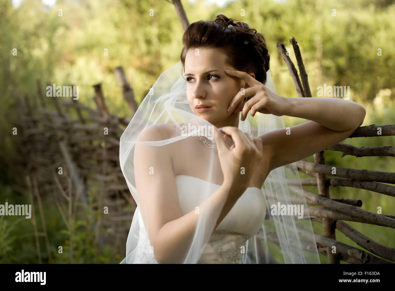 horizontal wedding portrait beautiful  fiancee in white dress with wedding veil, on nature Stock Photo
