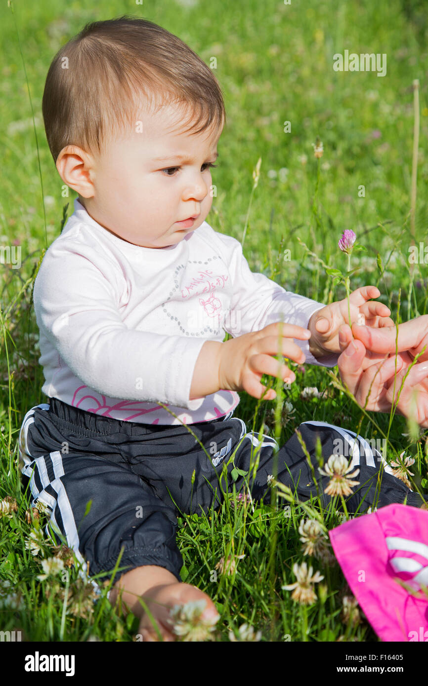 A six months old baby girl sitting on a lawn and picking a flower Stock