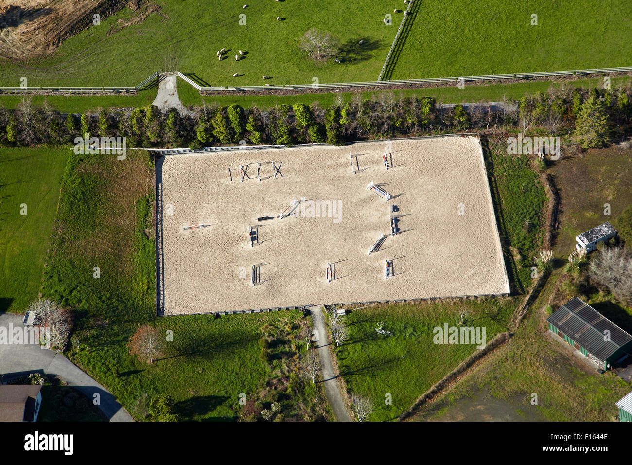 Show jumping arena near Coatesville, North Auckland, North Island, New